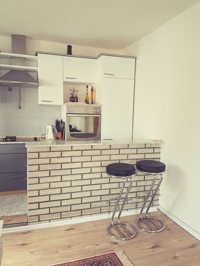 Cosy And Chic... Parking Included Apartment Sarajevo Ngoại thất bức ảnh