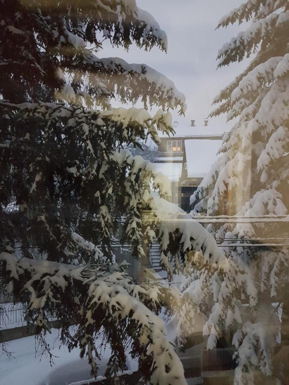 Cosy And Chic... Parking Included Apartment Sarajevo Ngoại thất bức ảnh